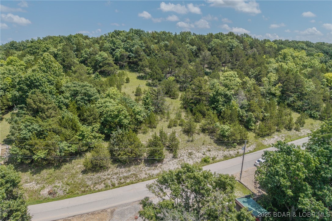 Tbd Robin Hood Lane Roach, MO 65787 - Photo 21 of 47