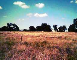 Lockwood Rd Manor Manor, TX 78653 - Photo 1 of 1