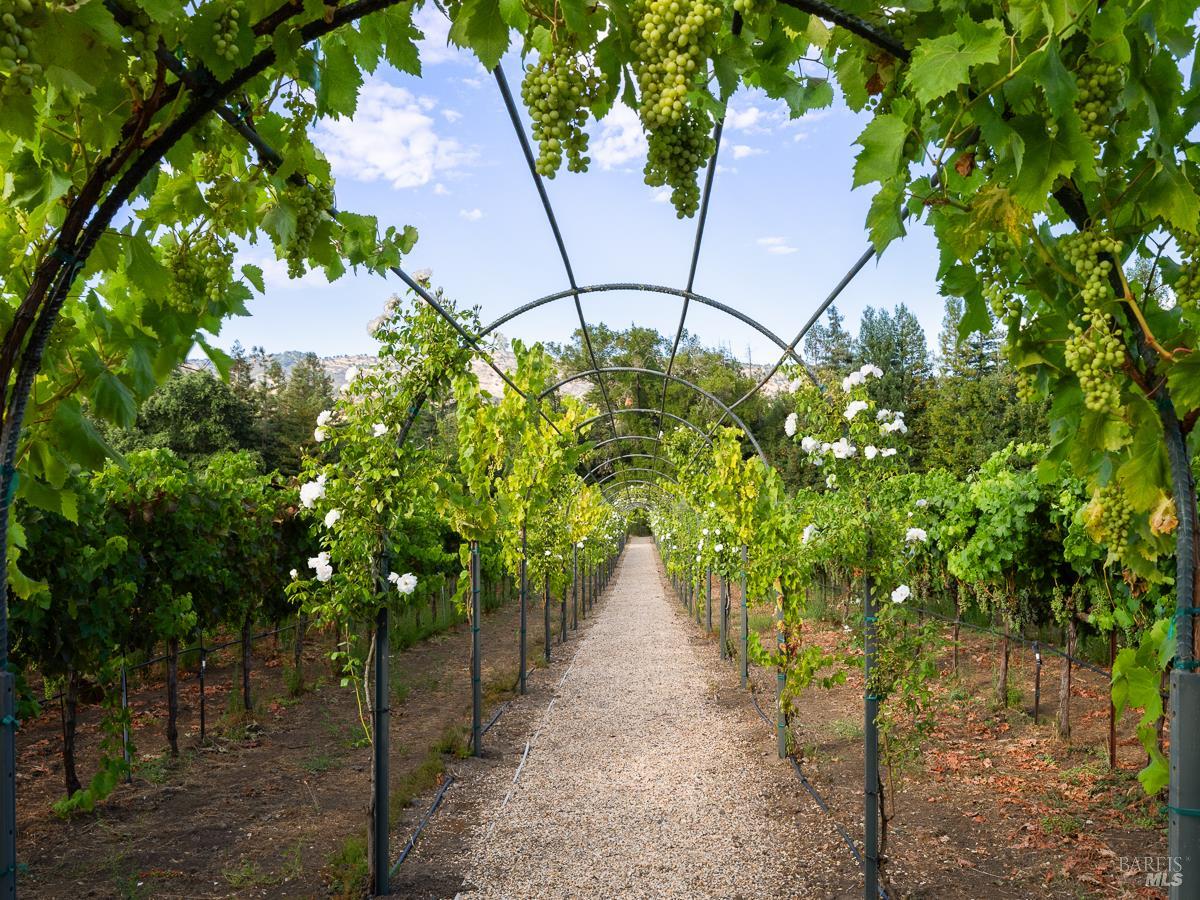 5100 Big Ranch Road Napa, CA 94558 - Photo 31 of 45