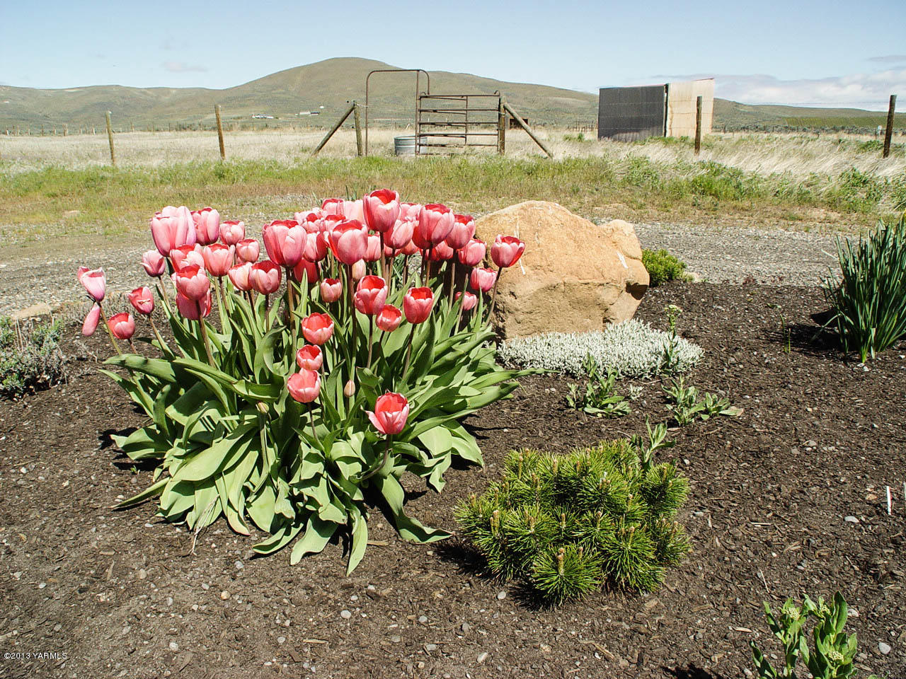 531 Winchester Road Yakima, WA 98908 - Photo 34 of 35 a view of a garden with flowers