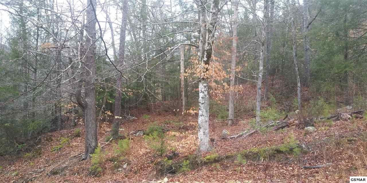 8 Sharp Road Sevierville, TN 37862 - Photo 1 of 7