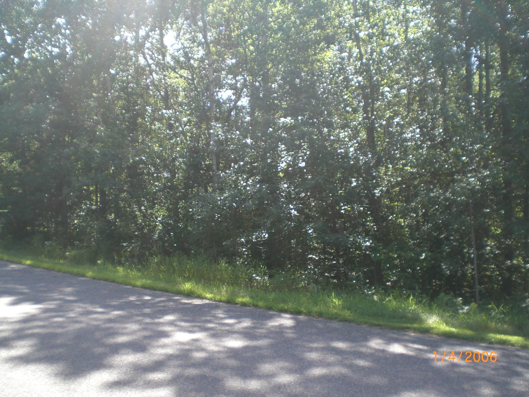 Lot 12 Fallen Leaf Circle Breezy Point, MN 56472 - Photo 2 of 4