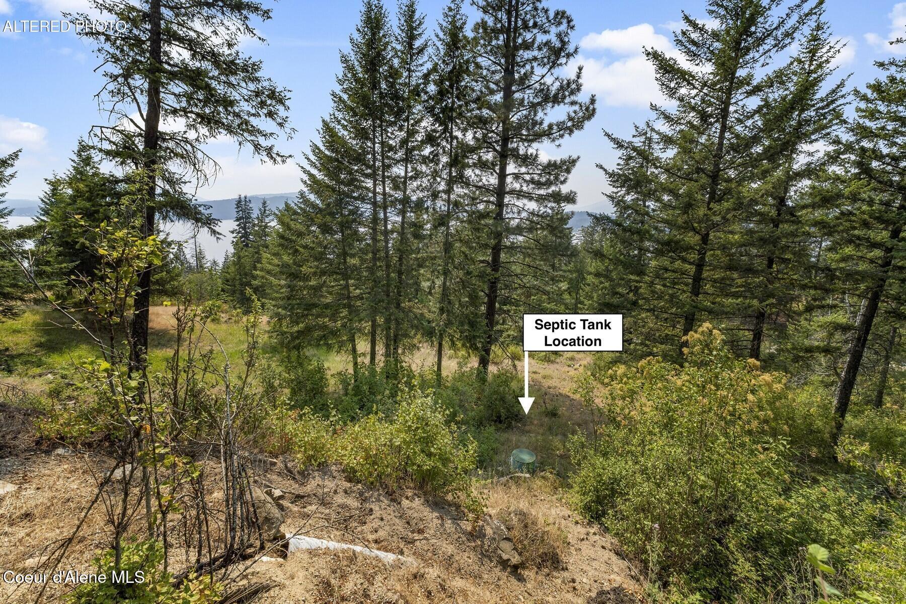 Nna Angel Creek Road Hope, ID 83836 - Photo 29 of 47 Stunning and Varied Terrain