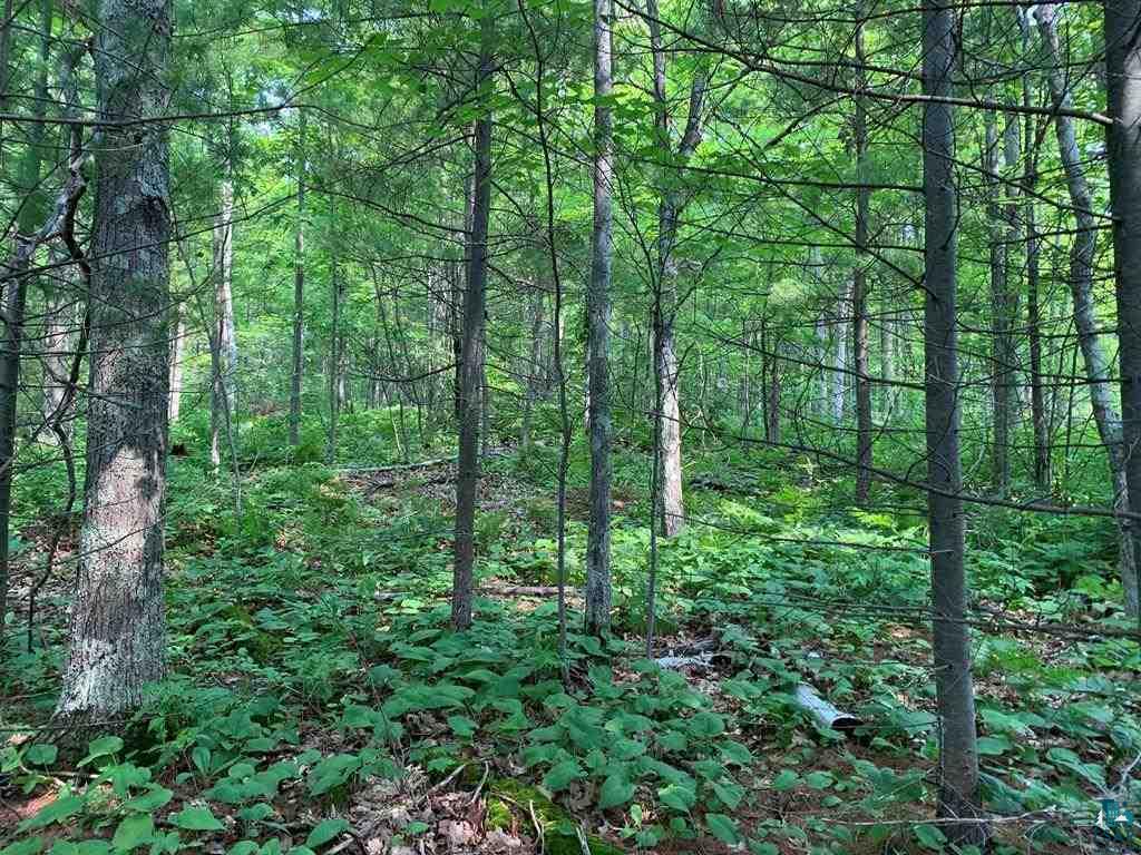 3 Chequamegon Road Bayfield, WI 54814 - Photo 19 of 20 Gallery Image 19