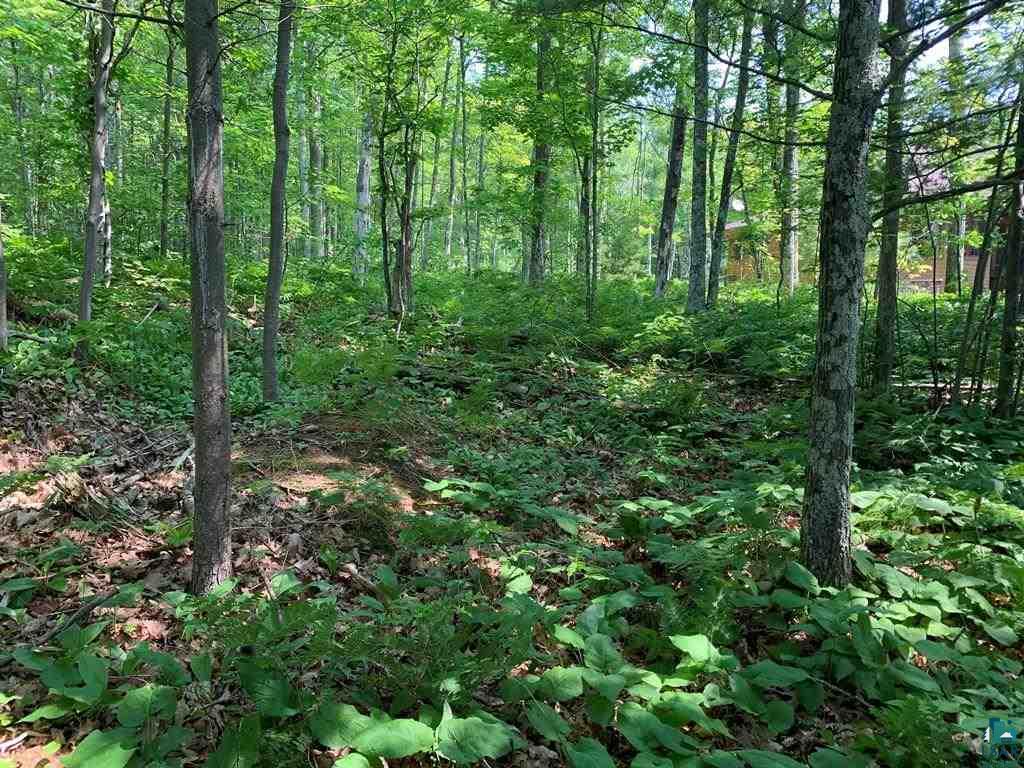 3 Chequamegon Road Bayfield, WI 54814 - Photo 8 of 20 Gallery Image 8