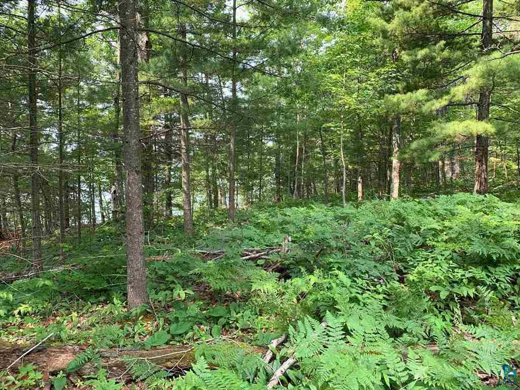 3 Chequamegon Road Bayfield, WI 54814 - Photo 9 of 20 Gallery Image 9
