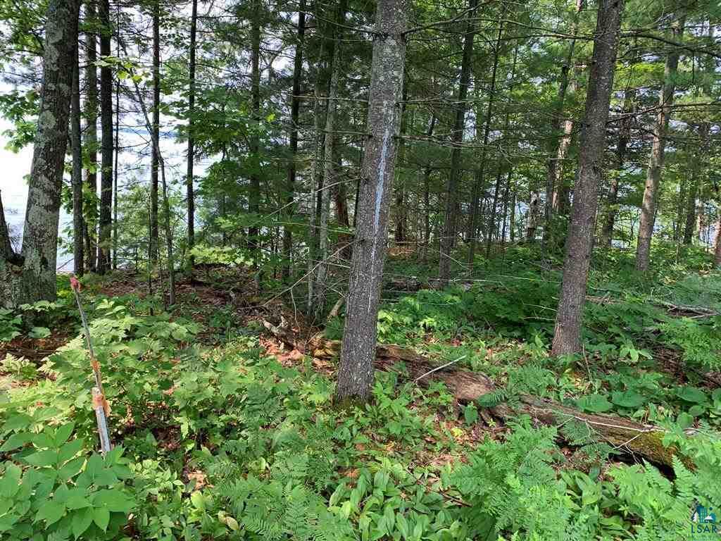3 Chequamegon Road Bayfield, WI 54814 - Photo 10 of 20 Gallery Image 10