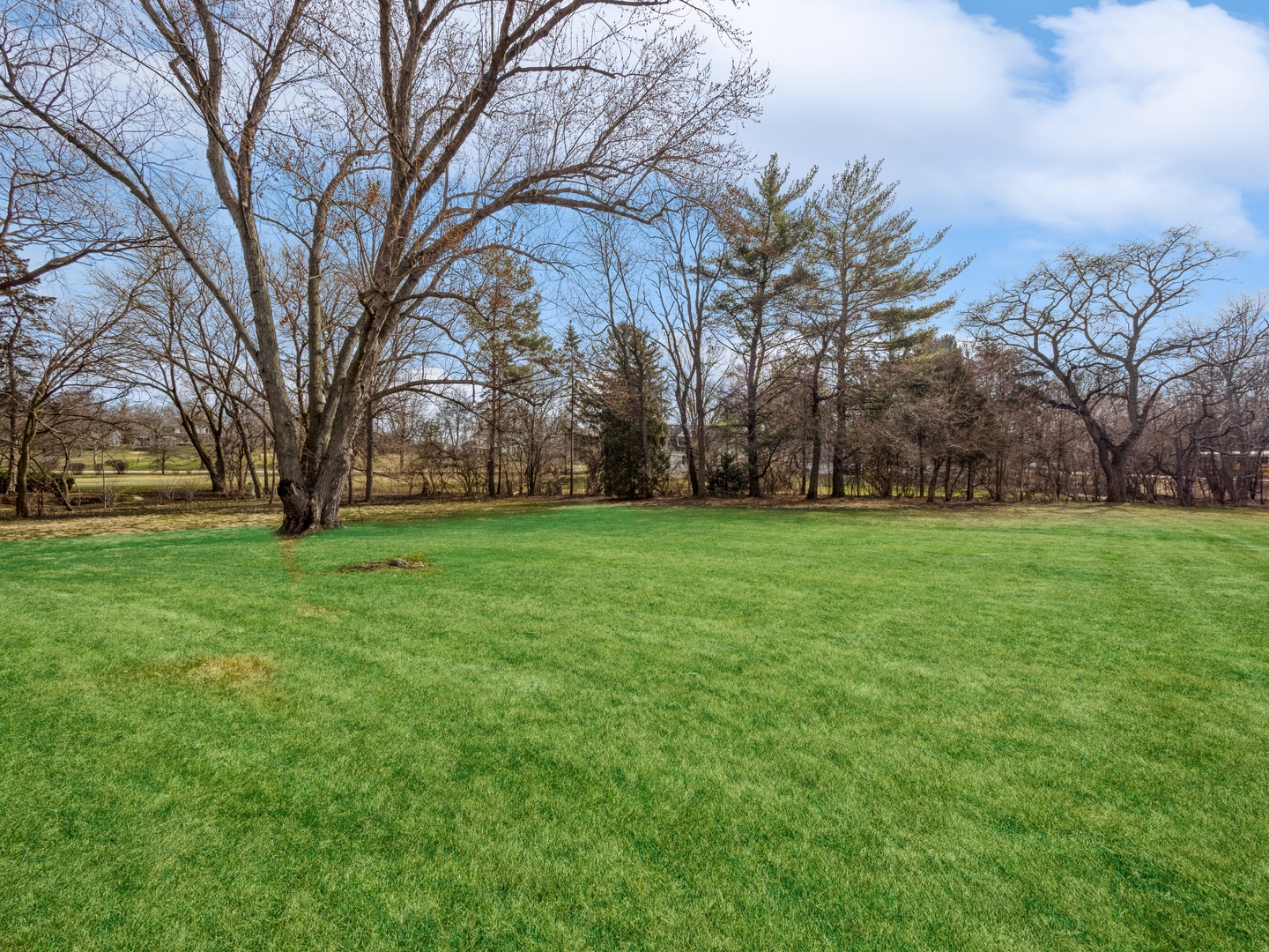 1762 West Palatine Road Palatine, IL 60067 - Photo 12 of 13 a view of green field with large trees