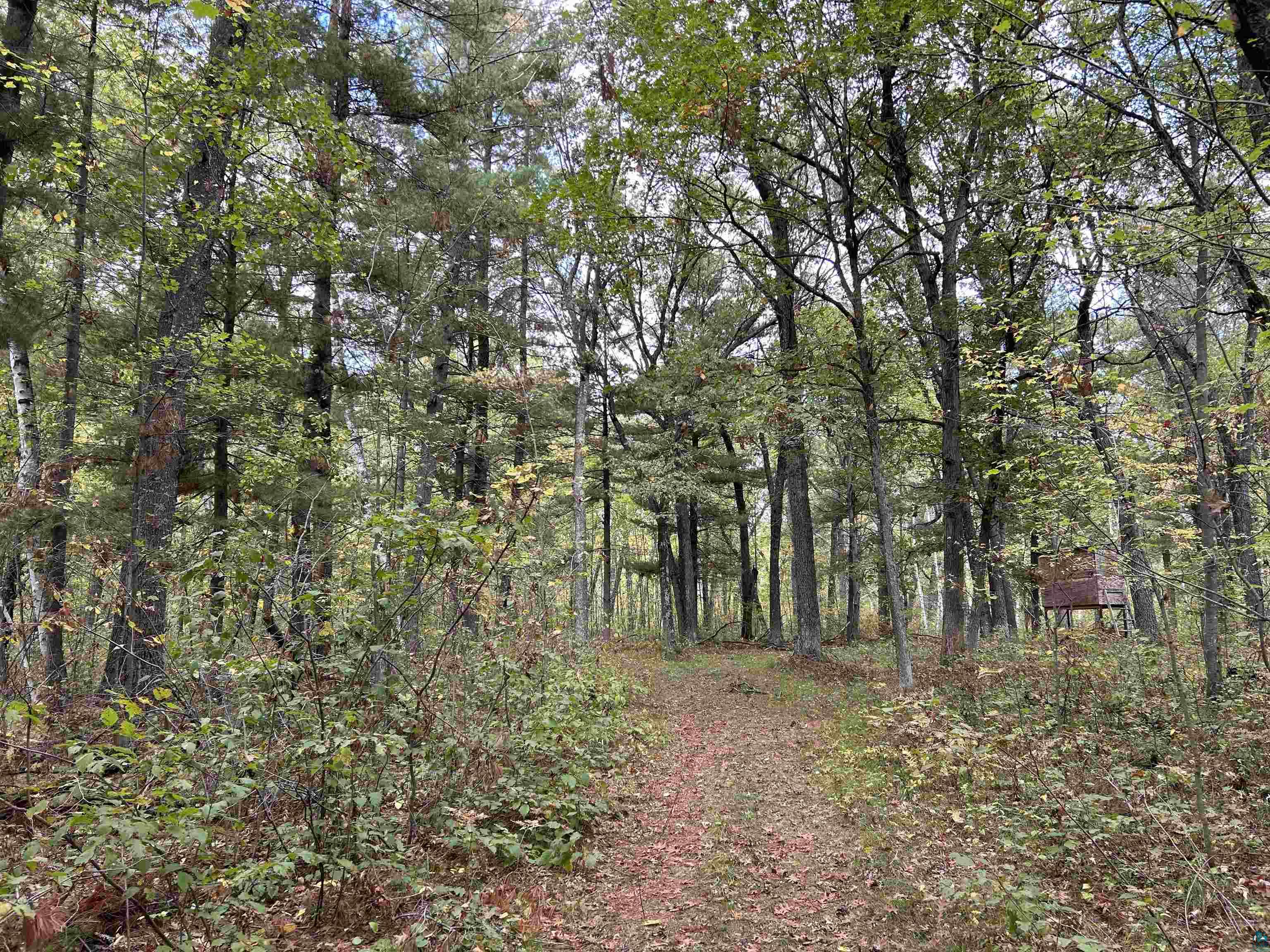 24385 Malone Road Webster, WI 54893 - Photo 31 of 40