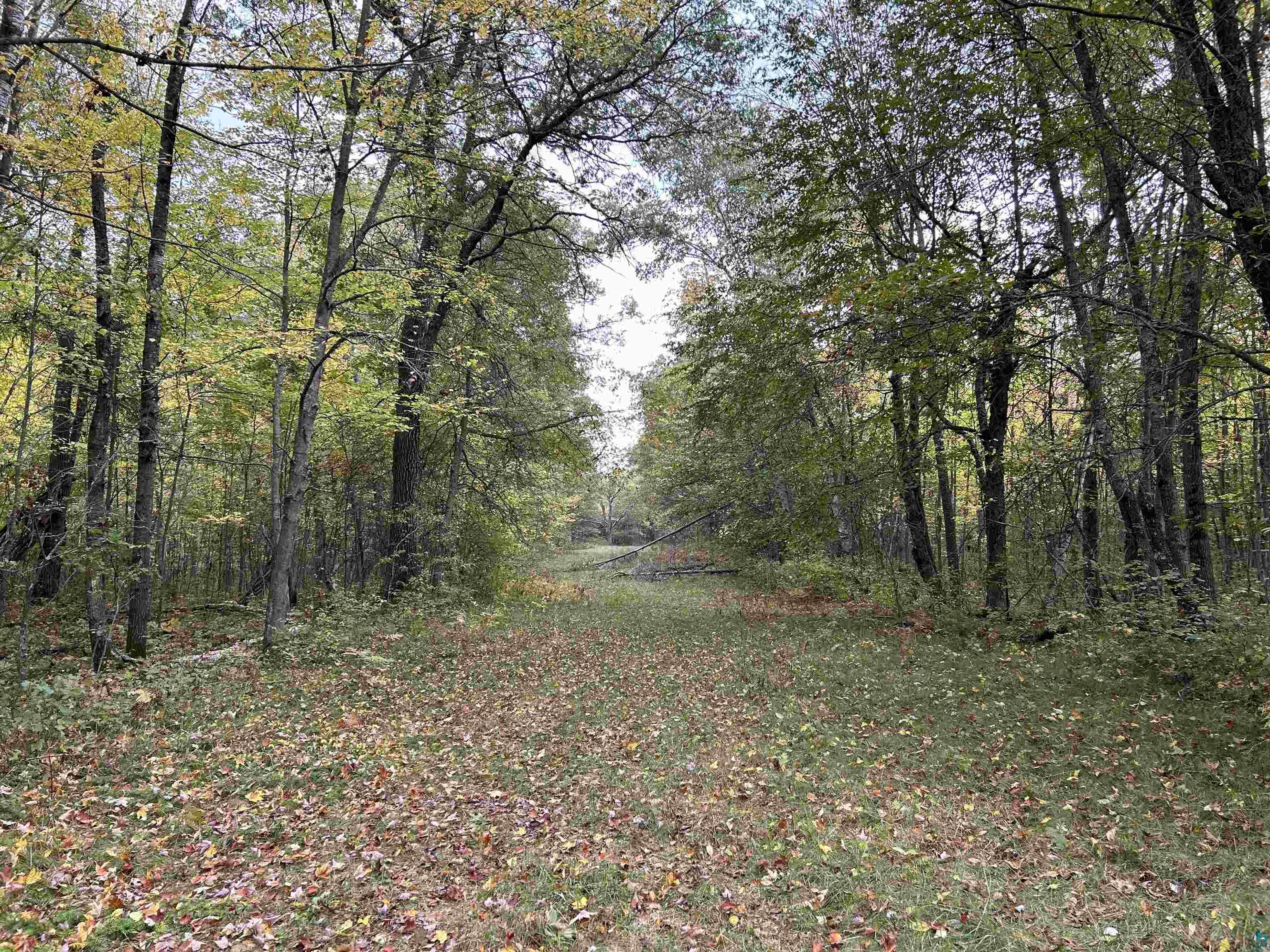 24385 Malone Road Webster, WI 54893 - Photo 33 of 40