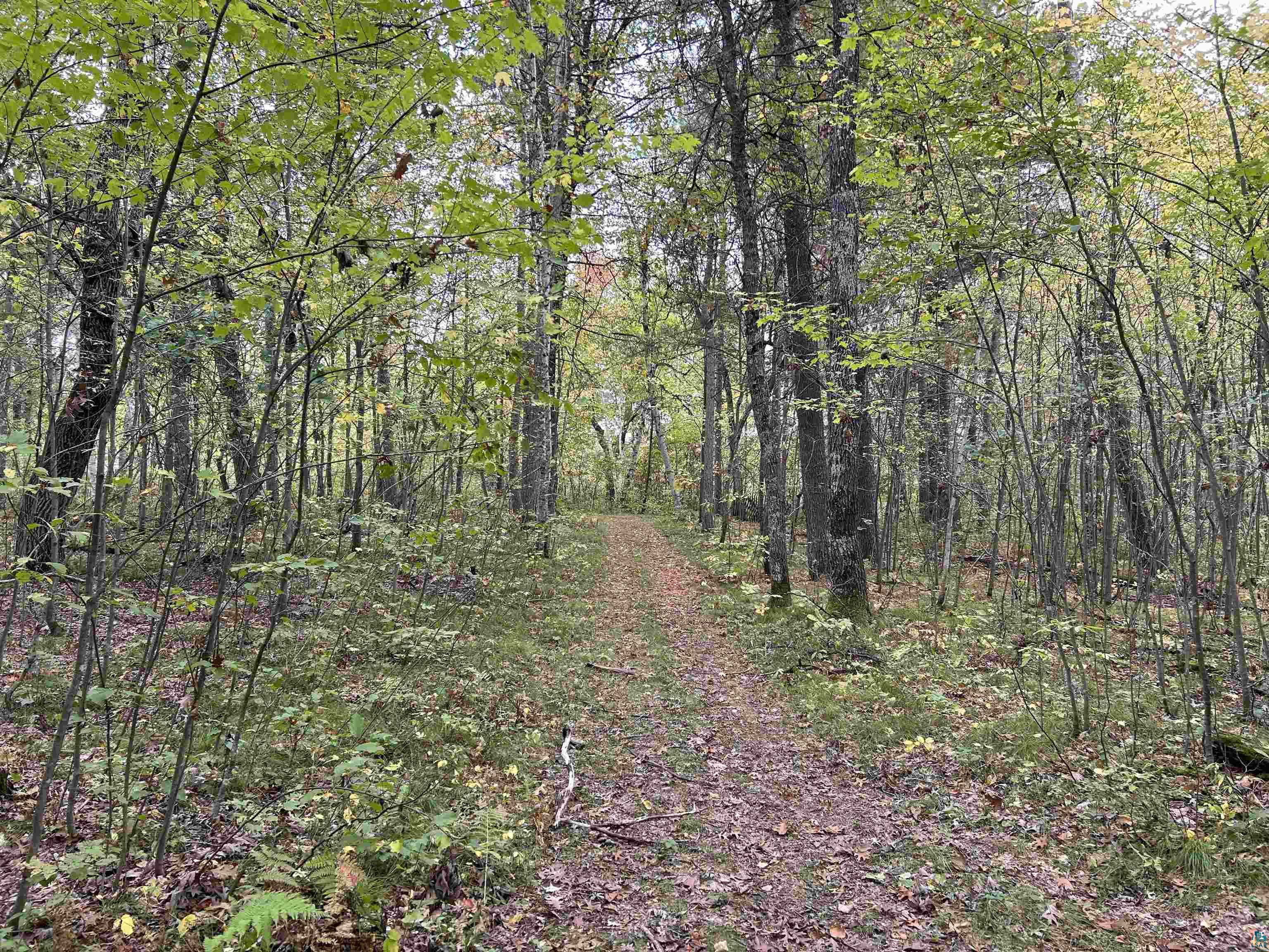 24385 Malone Road Webster, WI 54893 - Photo 34 of 40