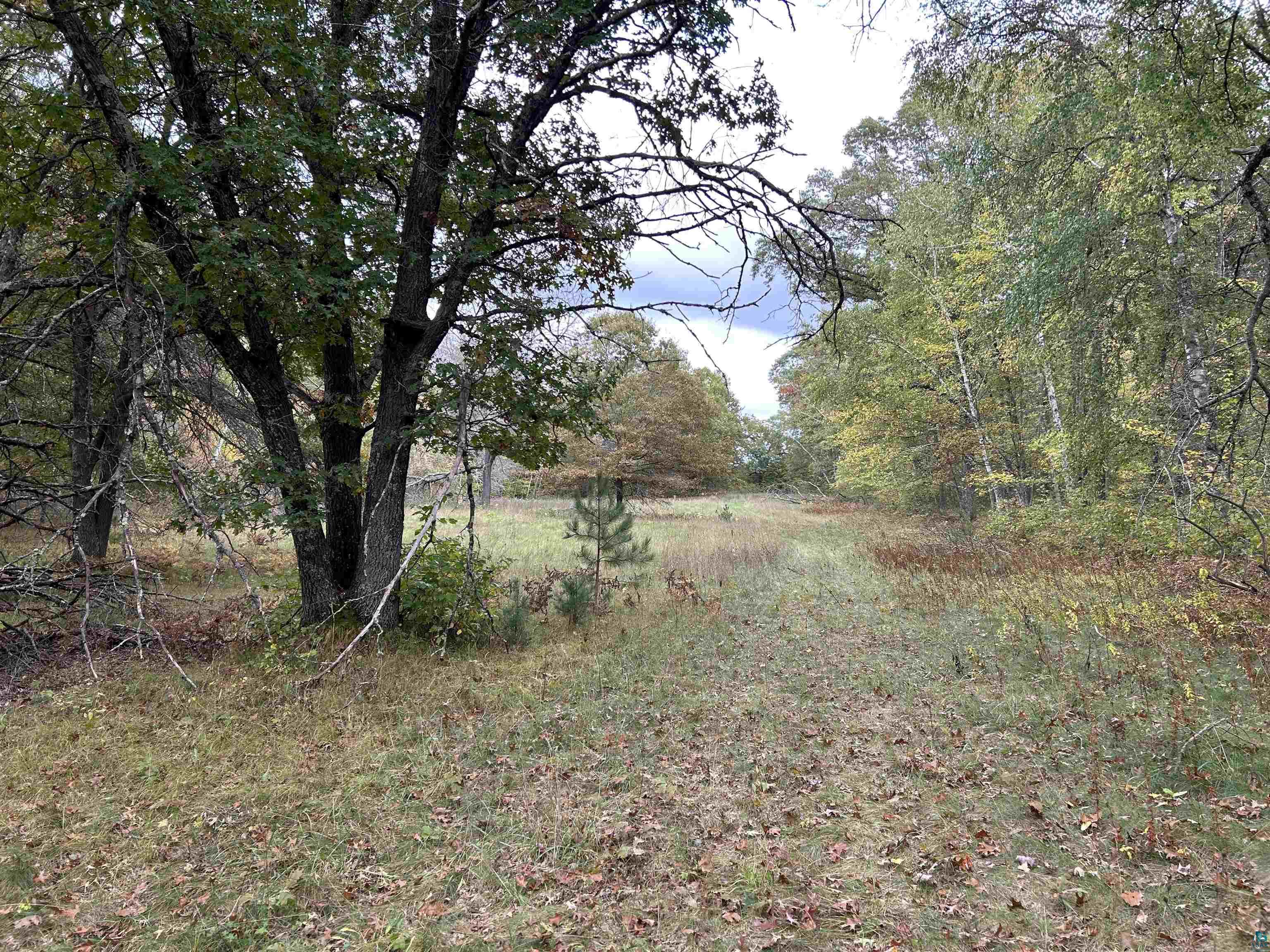 24385 Malone Road Webster, WI 54893 - Photo 36 of 40
