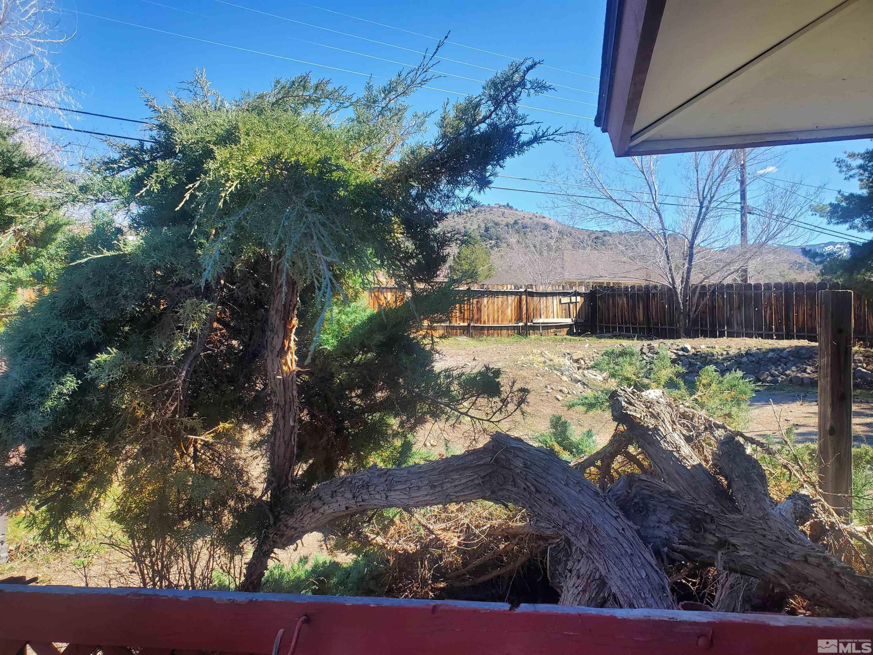 14420 Chamy Drive Reno, NV 89521 - Photo 18 of 21 a view of a backyard of the house