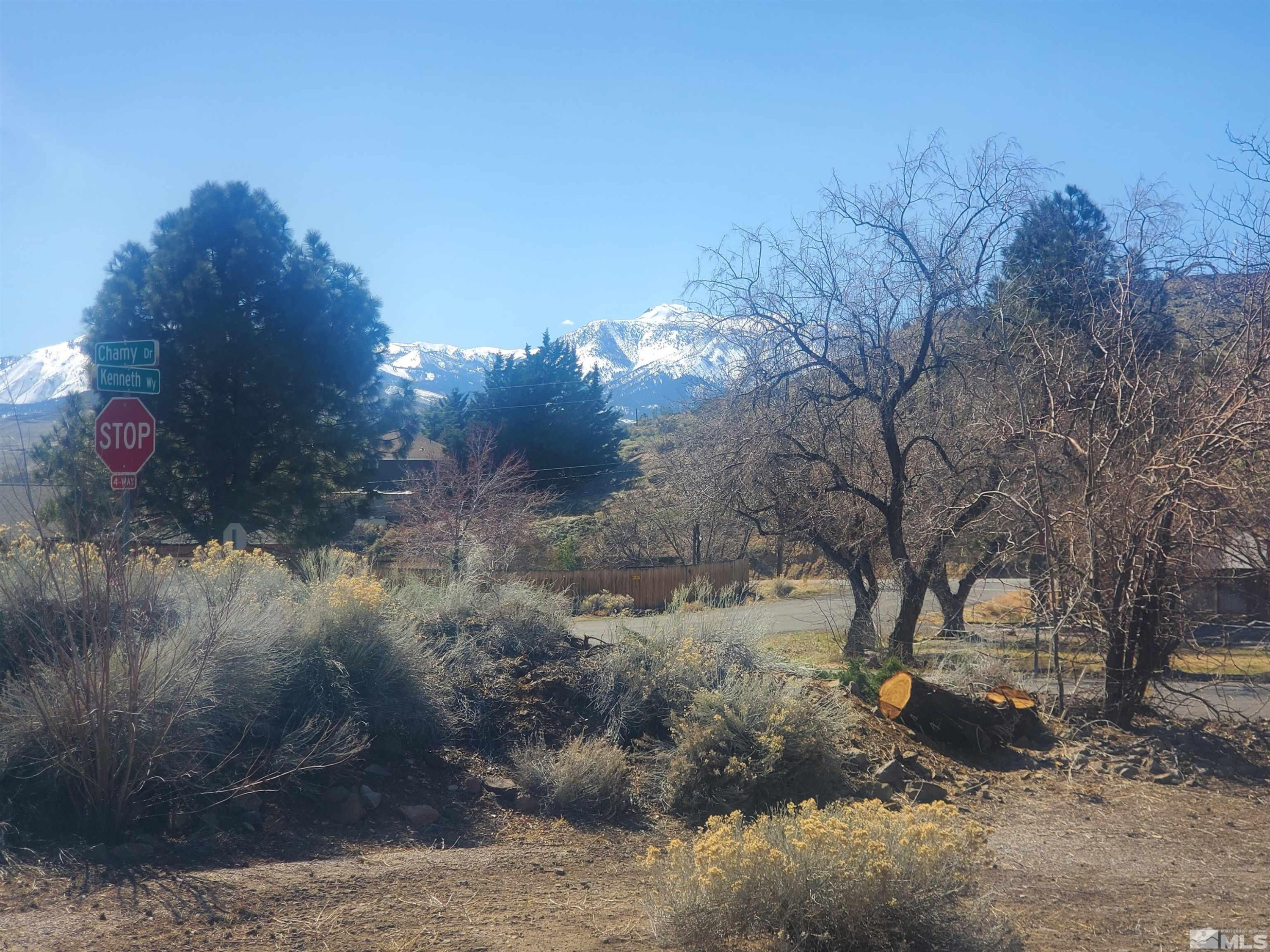 14420 Chamy Drive Reno, NV 89521 - Photo 20 of 21 a view of a forest filled with trees