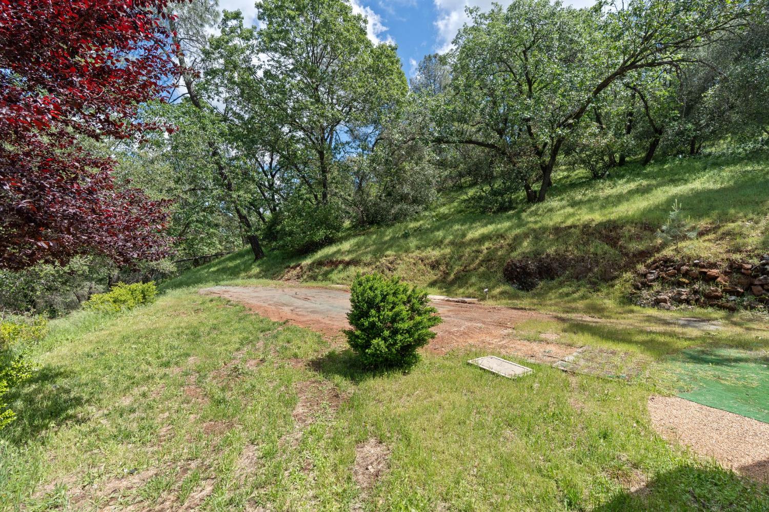 4410 Rossler Road Placerville, CA 95667 - Photo 33 of 35 a lush green forest with lots of trees