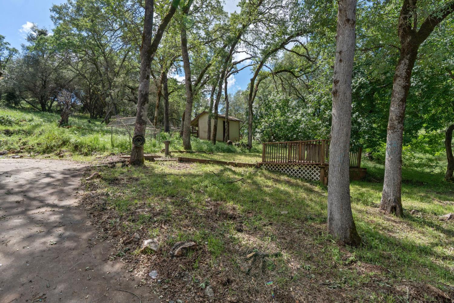 4410 Rossler Road Placerville, CA 95667 - Photo 4 of 35 a view of outdoor space with trees