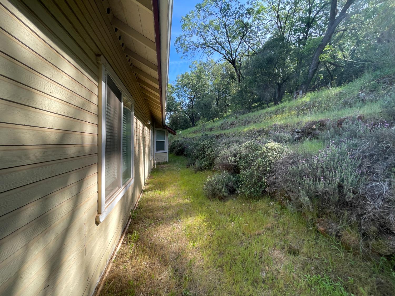 4410 Rossler Road Placerville, CA 95667 - Photo 6 of 30