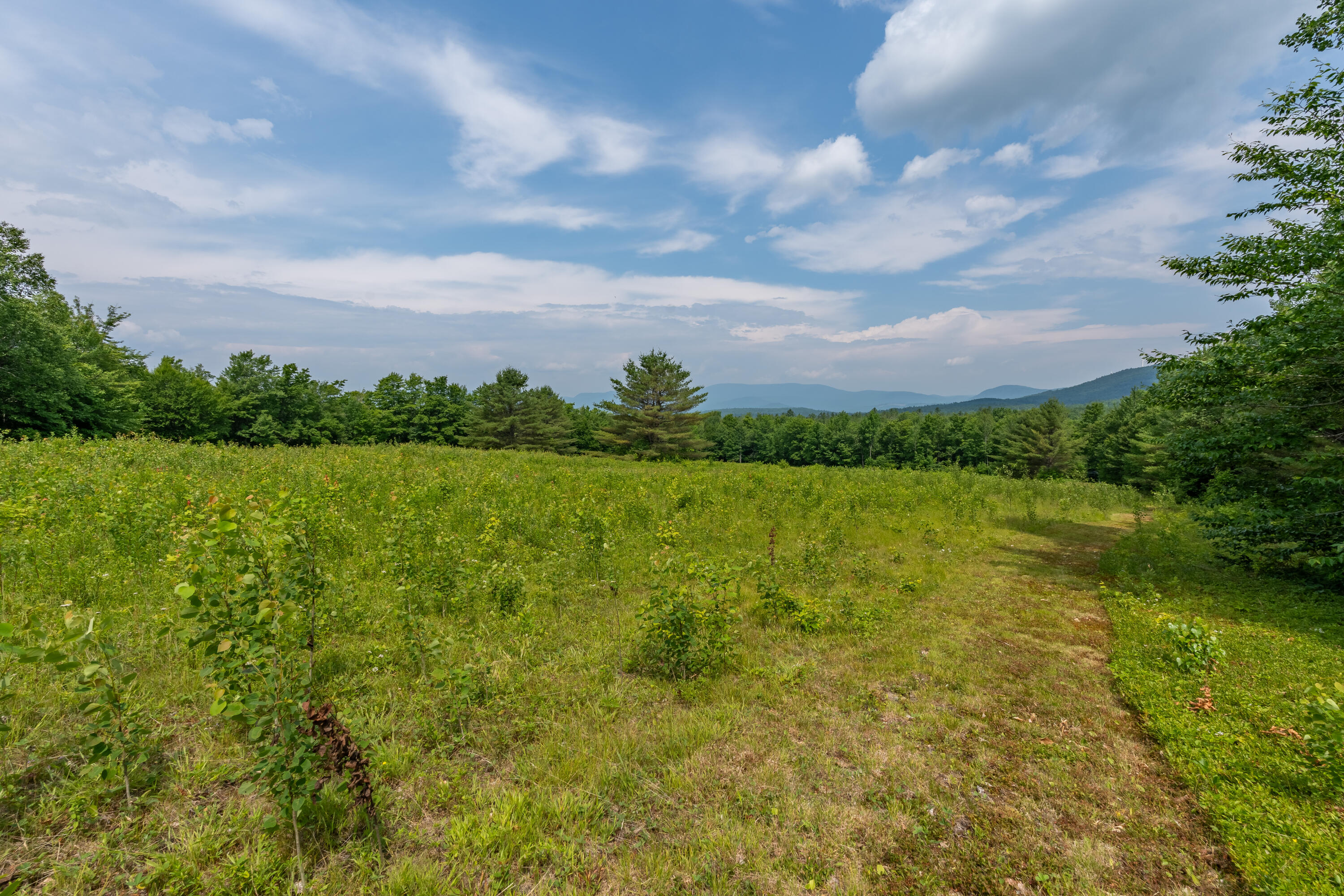 115 Swain Farm Road Rumford, ME 04276 - Photo 86 of 95 View from Back Lot