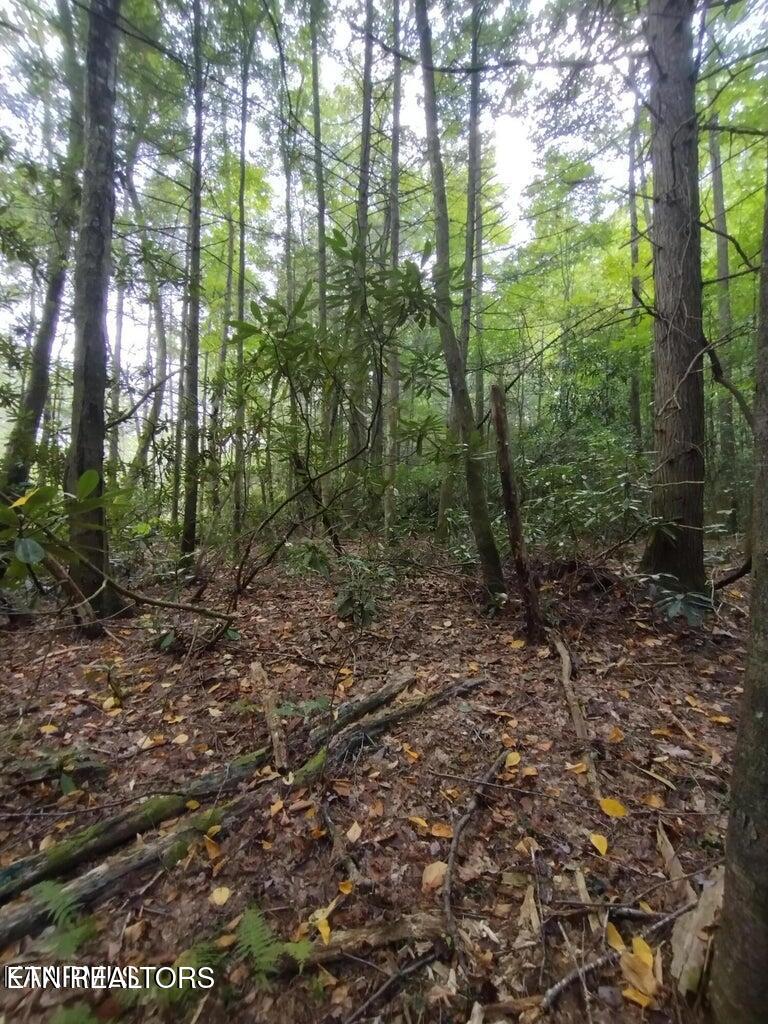 0 Ross Cemetery Road Winfield, TN 37892 - Photo 12 of 33 20220926150554609893000000-o