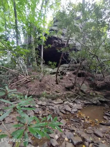 $280,000 | 0 Ross Cemetery Road, Winfield, TN 37892