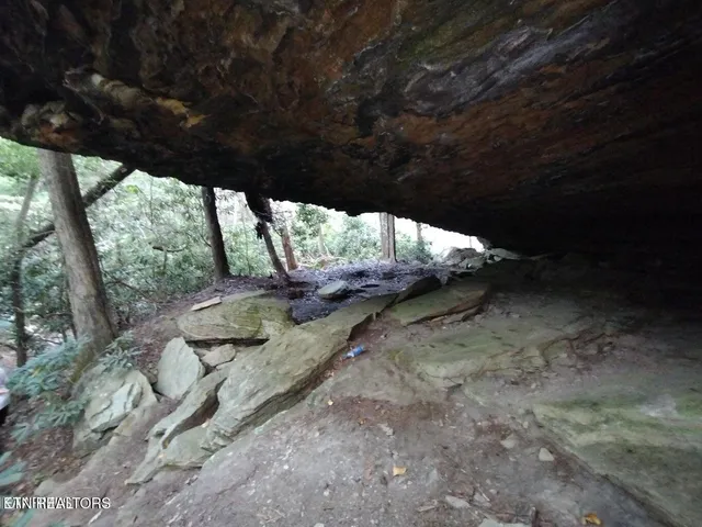 $280,000 | 0 Ross Cemetery Road, Winfield, TN 37892