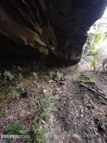 $280,000 | 0 Ross Cemetery Road, Winfield, TN 37892