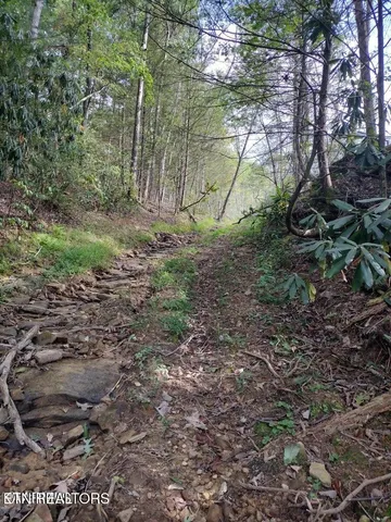 $280,000 | 0 Ross Cemetery Road, Winfield, TN 37892