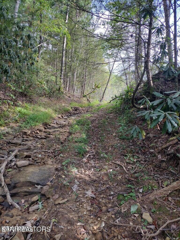 0 Ross Cemetery Road Winfield, TN 37892 - Photo 16 of 33 20220926150536728186000000-o