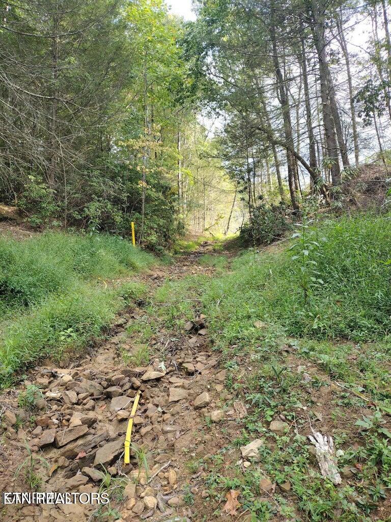 0 Ross Cemetery Road Winfield, TN 37892 - Photo 17 of 33 20220926150535872488000000-o