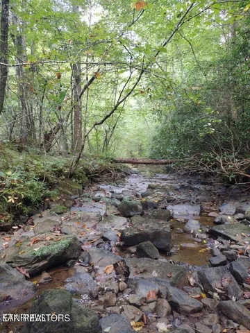 $280,000 | 0 Ross Cemetery Road, Winfield, TN 37892