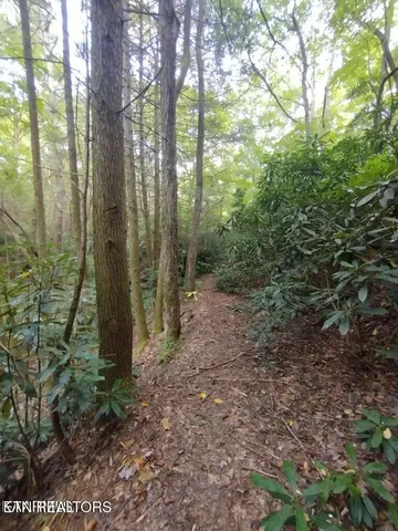 $280,000 | 0 Ross Cemetery Road, Winfield, TN 37892