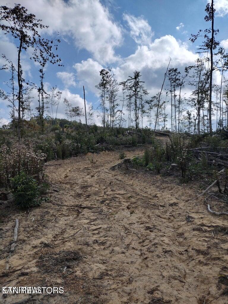 0 Ross Cemetery Road Winfield, TN 37892 - Photo 20 of 33 20220926150756836233000000-o