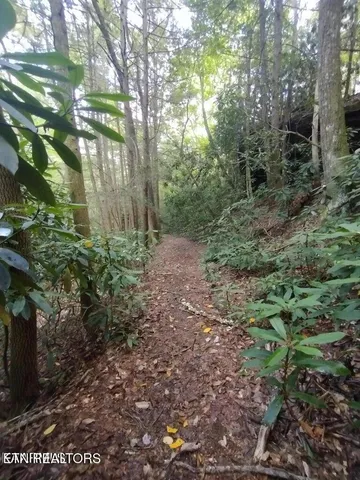 $280,000 | 0 Ross Cemetery Road, Winfield, TN 37892