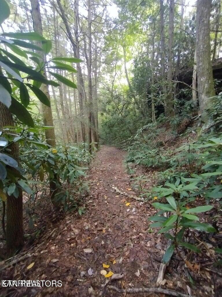 0 Ross Cemetery Road Winfield, TN 37892 - Photo 21 of 33 20220926150532718644000000-o