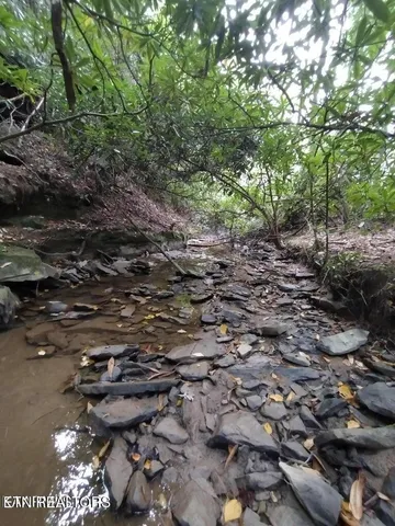 $280,000 | 0 Ross Cemetery Road, Winfield, TN 37892