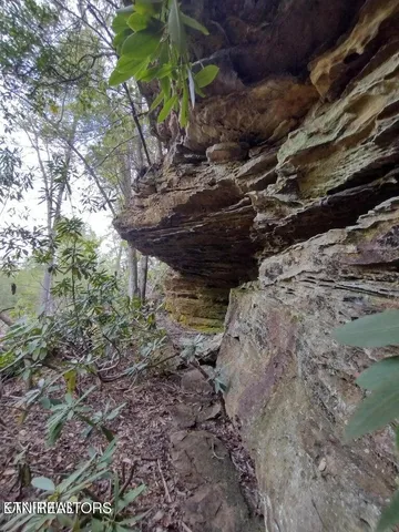 $280,000 | 0 Ross Cemetery Road, Winfield, TN 37892