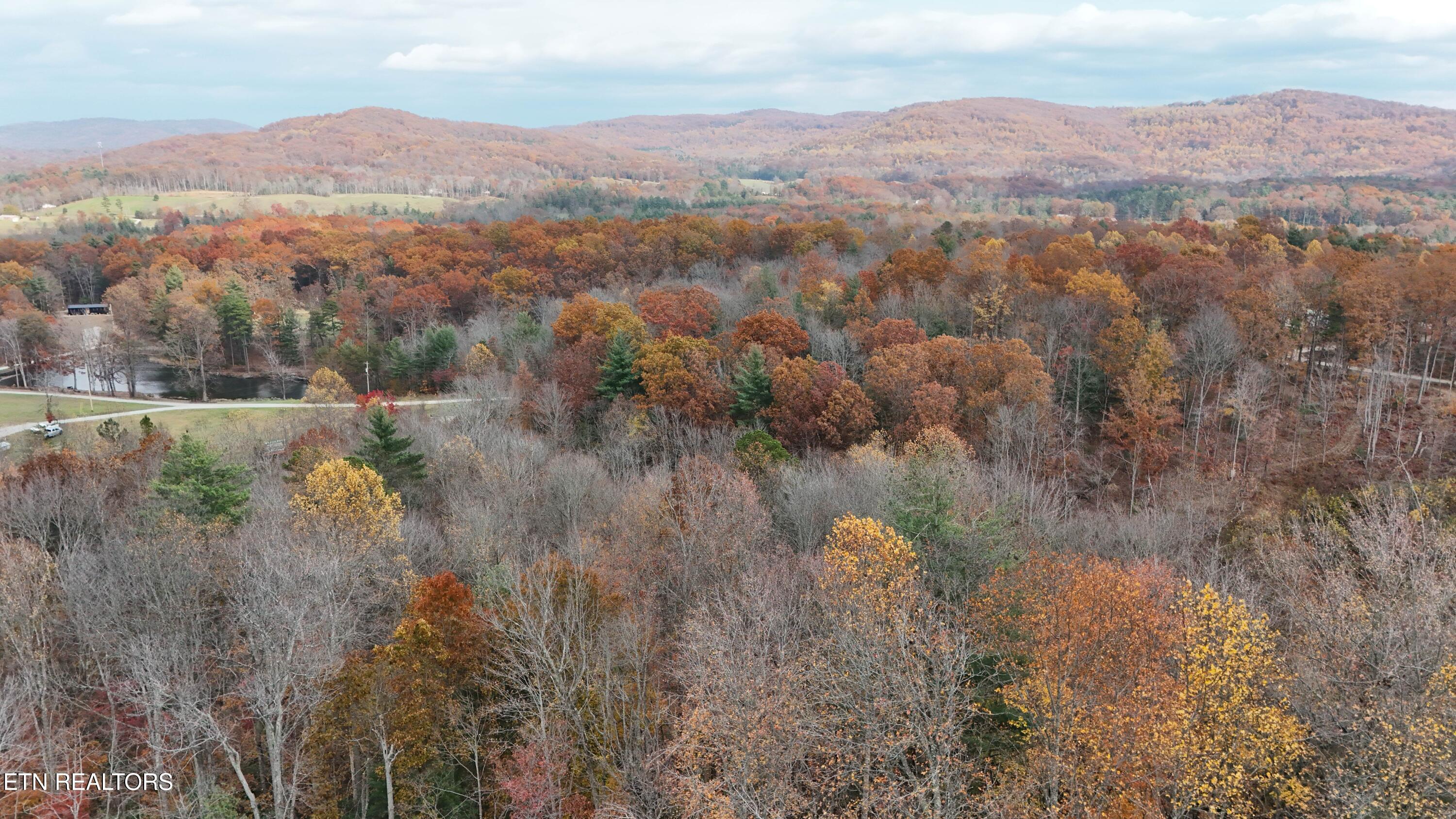 0 Ross Cemetery Road Winfield, TN 37892 - Photo 8 of 33 12