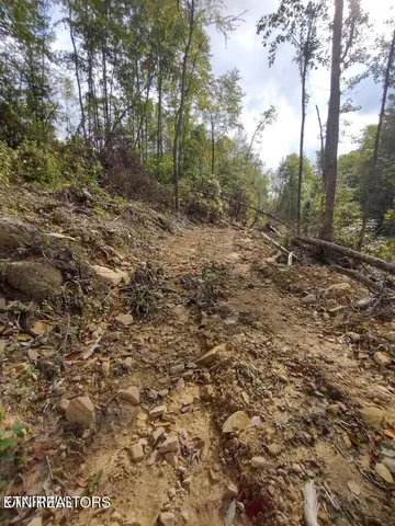 $280,000 | 0 Ross Cemetery Road, Winfield, TN 37892