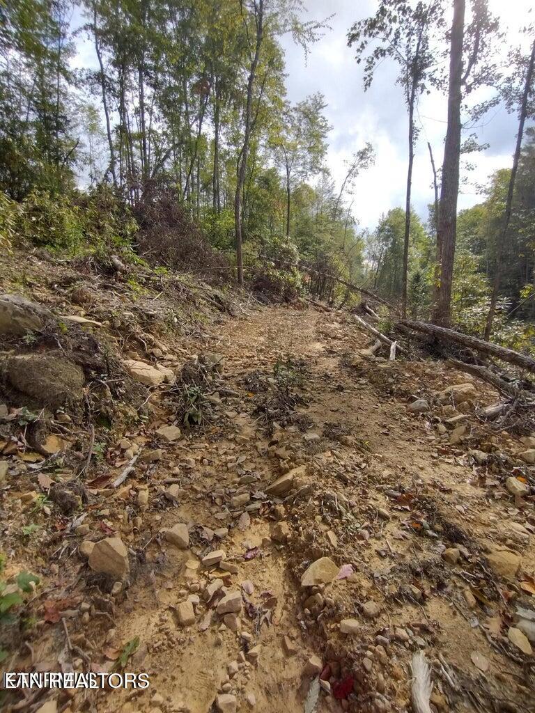 0 Ross Cemetery Road Winfield, TN 37892 - Photo 9 of 33 20220926151425243102000000-o