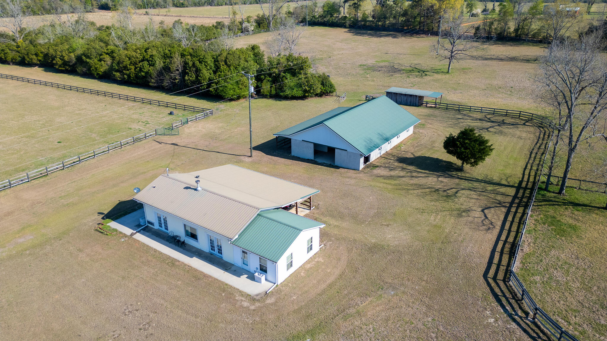 252 Moseley Road Williston, SC 29853 - Photo 3 of 64