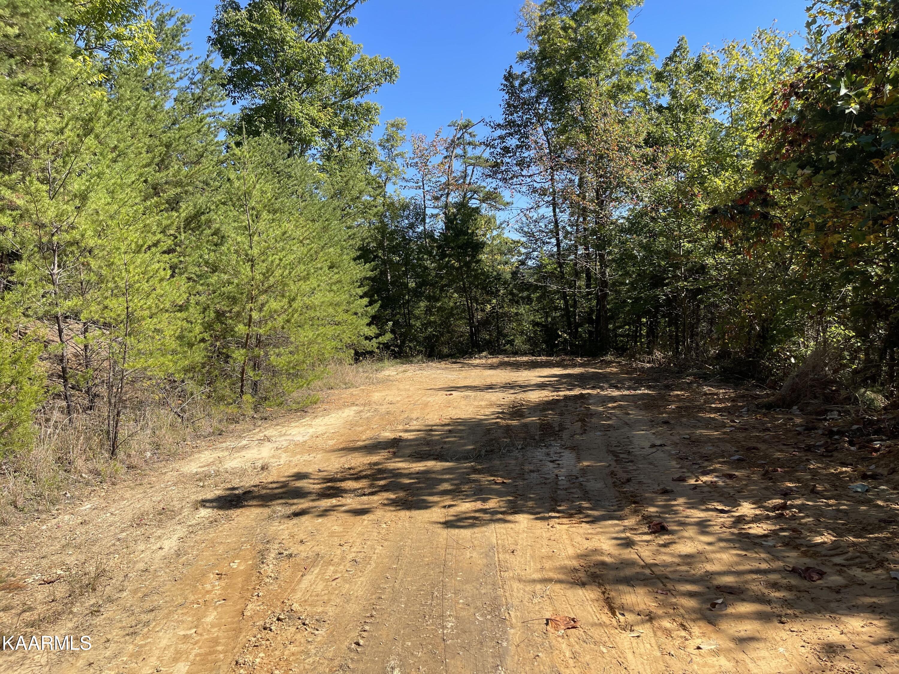 Cove Hollow Road Cosby, TN 37722 - Photo 11 of 12 Photo 6