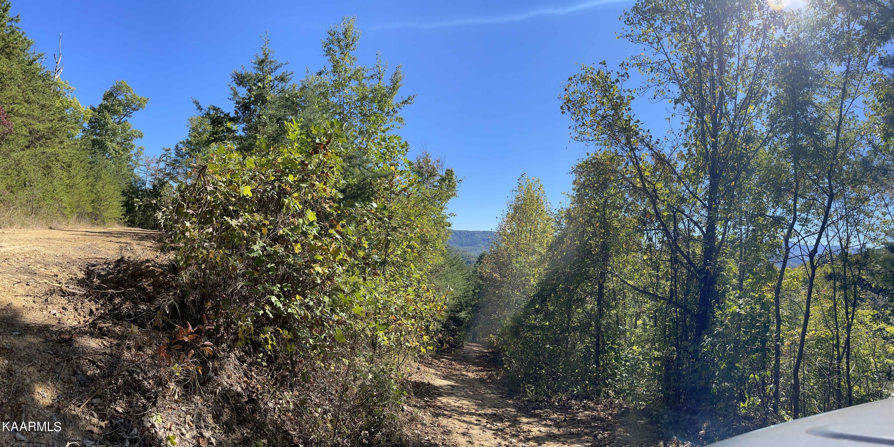 Cove Hollow Road Cosby, TN 37722 - Photo 12 of 12 Photo5