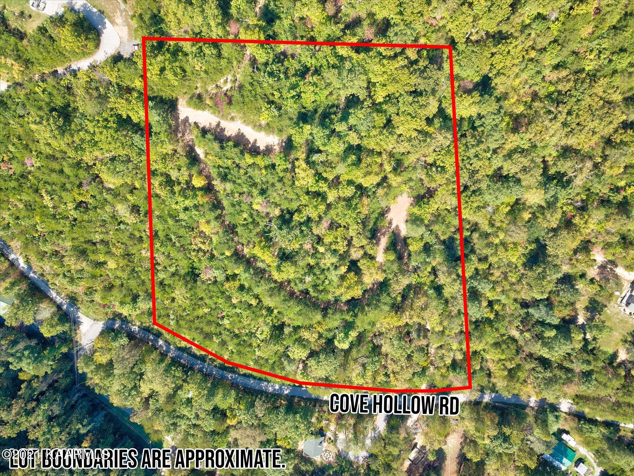 Cove Hollow Road Cosby, TN 37722 - Photo 2 of 12 11-DJI_0041_2_3_4_5_1