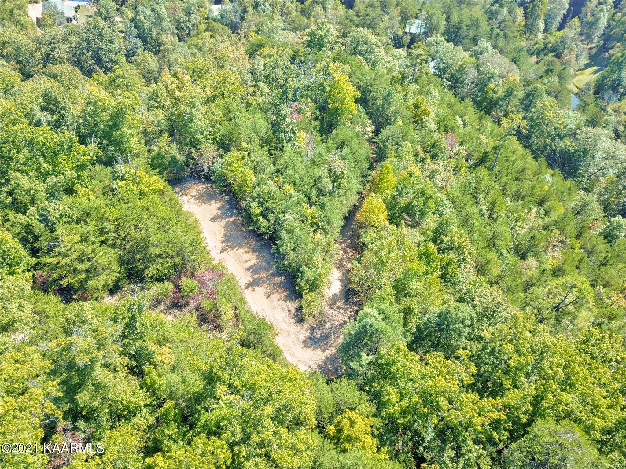 Cove Hollow Road Cosby, TN 37722 - Photo 3 of 12 09-DJI_0091_2_3_4_5