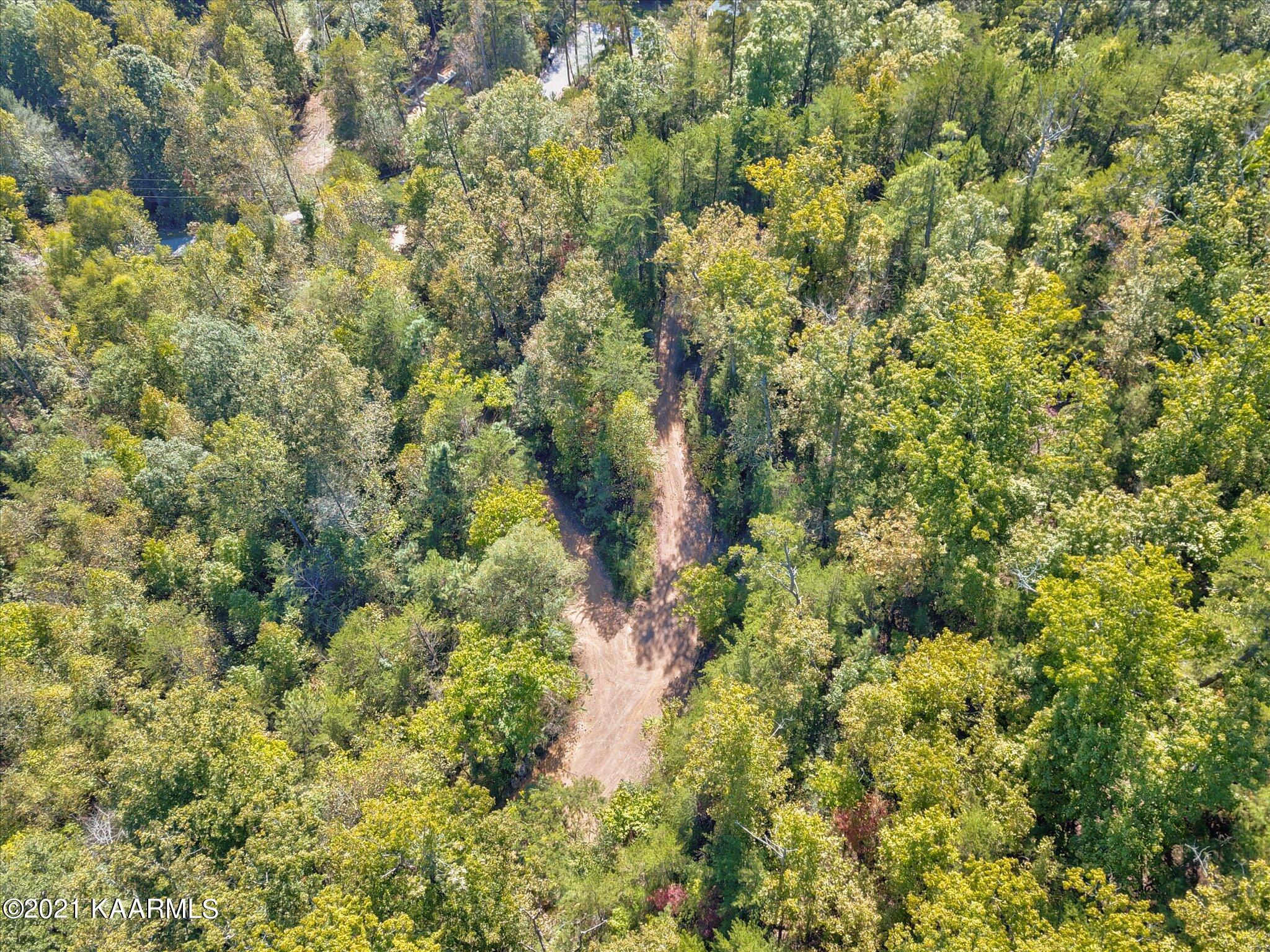 Cove Hollow Road Cosby, TN 37722 - Photo 4 of 12 07-DJI_0081_2_3_4_5