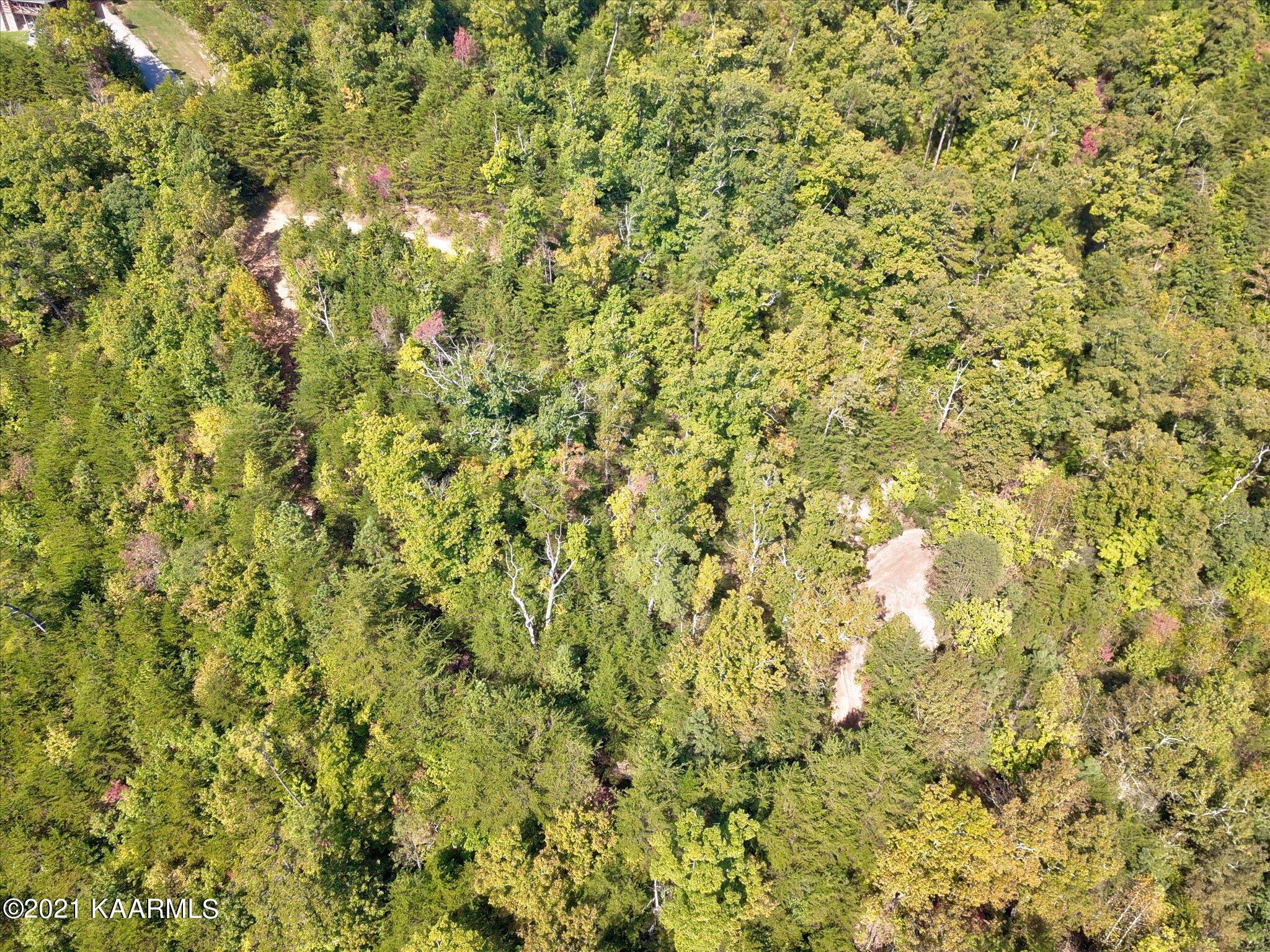 Cove Hollow Road Cosby, TN 37722 - Photo 5 of 12 08-DJI_0086_87_88_89_90