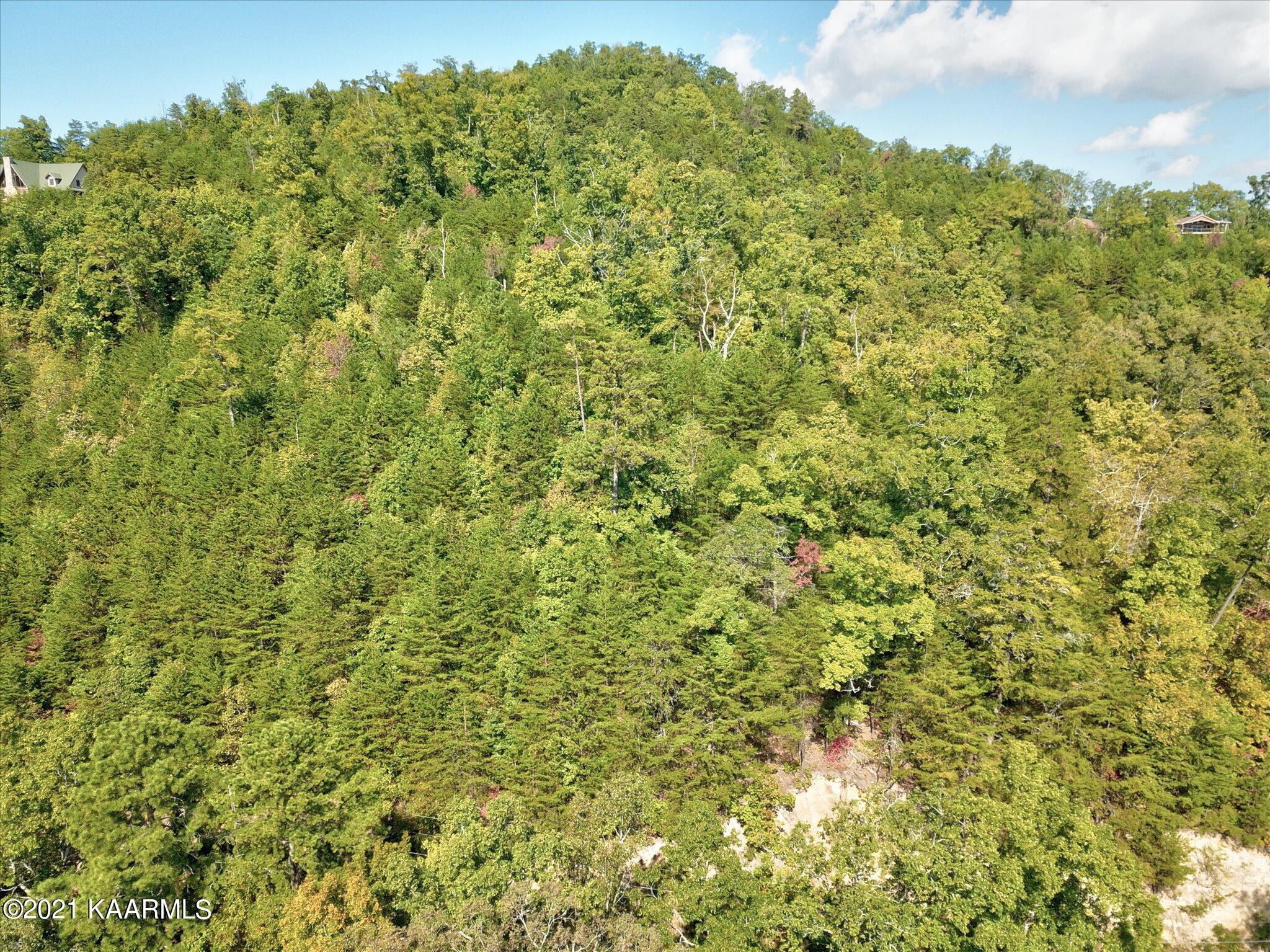 Cove Hollow Road Cosby, TN 37722 - Photo 6 of 12 04-DJI_0066_67_68_69_70