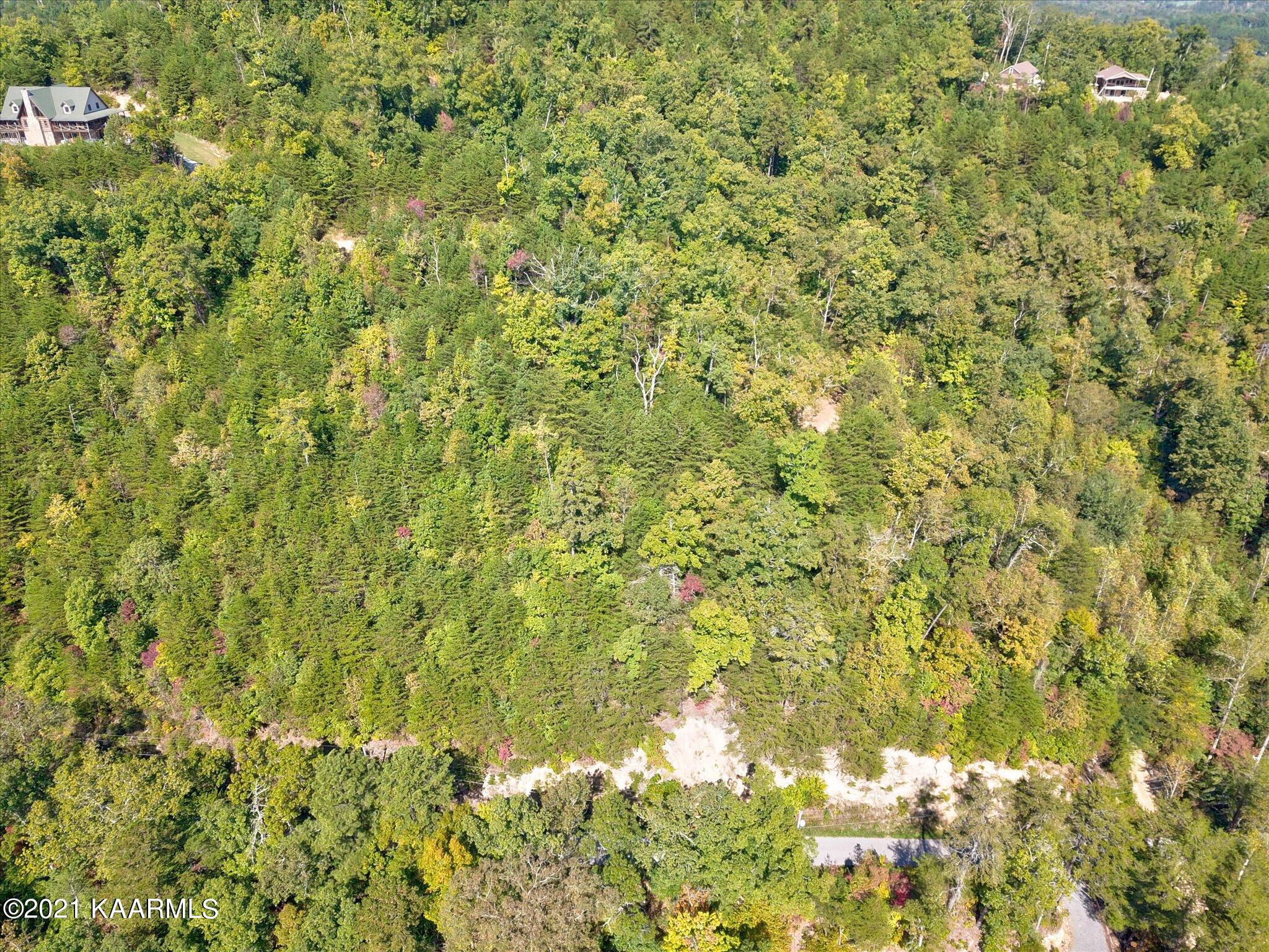 Cove Hollow Road Cosby, TN 37722 - Photo 7 of 12 03-DJI_0056_57_58_59_60