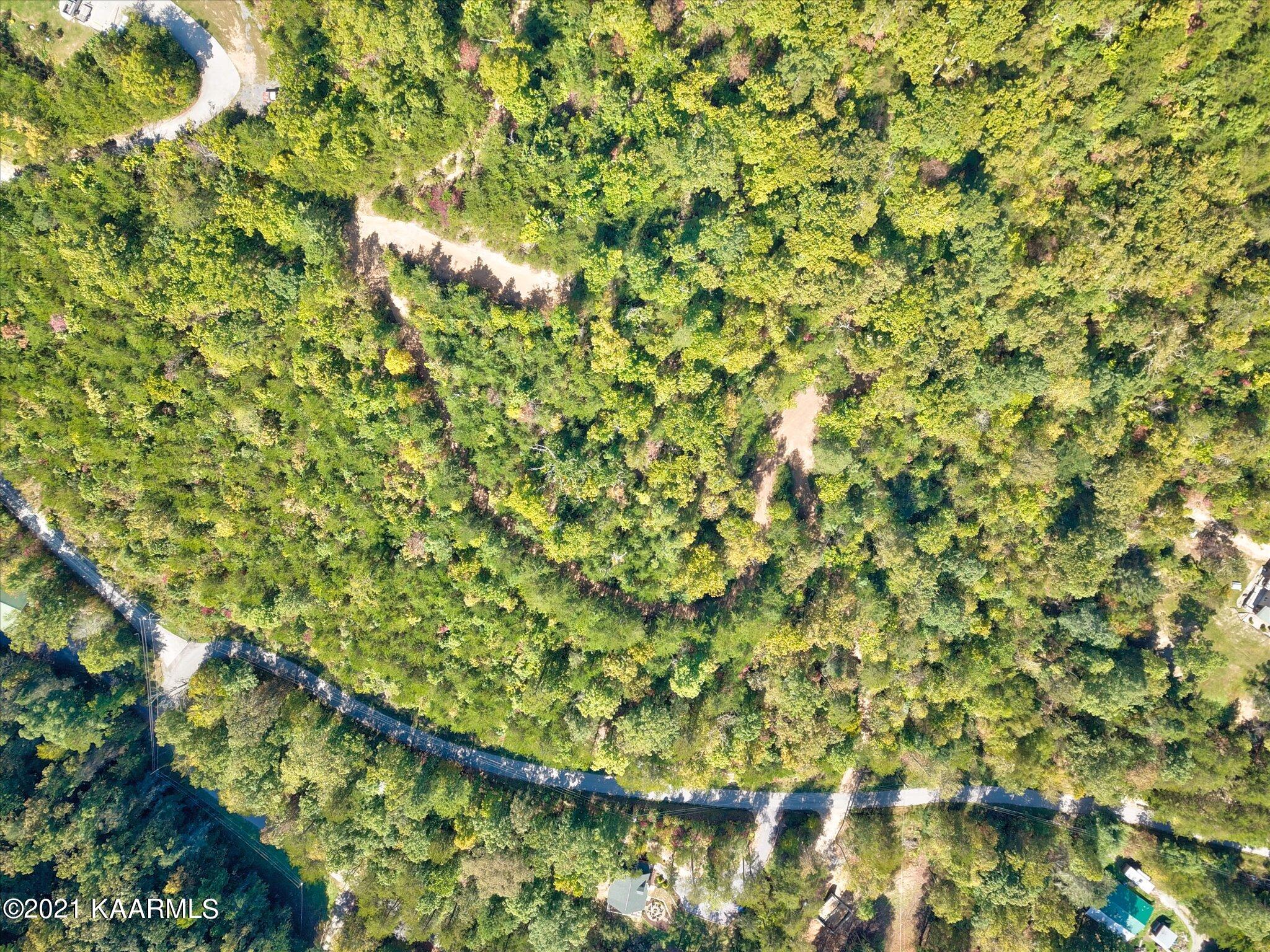 Cove Hollow Road Cosby, TN 37722 - Photo 8 of 12 01-DJI_0041_2_3_4_5