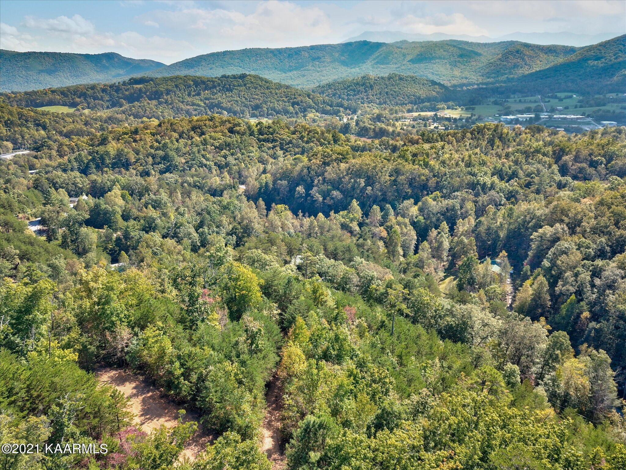 Cove Hollow Road Cosby, TN 37722 - Photo 9 of 12 10-DJI_0096_097_098_099_100-Edit